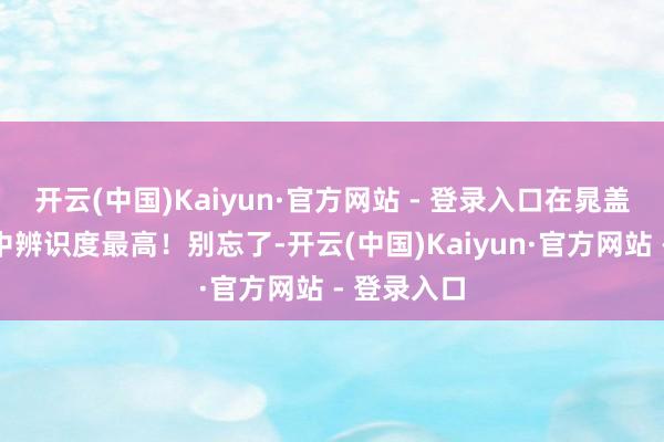 开云(中国)Kaiyun·官方网站 - 登录入口在晁盖七东谈主中辨识度最高！别忘了-开云(中国)Kaiyun·官方网站 - 登录入口