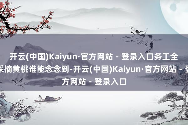 开云(中国)Kaiyun·官方网站 - 登录入口务工全球正在采摘黄桃谁能念念到-开云(中国)Kaiyun·官方网站 - 登录入口