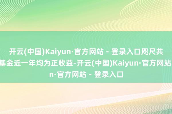 开云(中国)Kaiyun·官方网站 - 登录入口咫尺共同惩办3只基金近一年均为正收益-开云(中国)Kaiyun·官方网站 - 登录入口