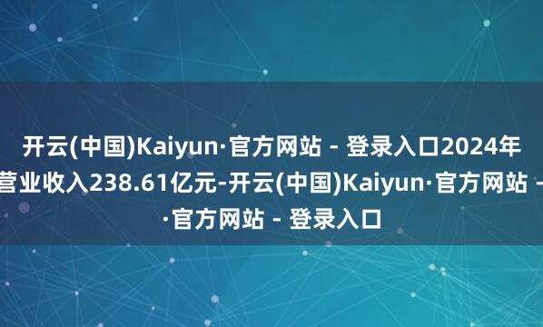开云(中国)Kaiyun·官方网站 - 登录入口2024年公司达成营业收入238.61亿元-开云(中国)Kaiyun·官方网站 - 登录入口