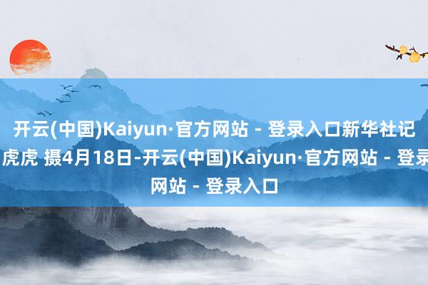 开云(中国)Kaiyun·官方网站 - 登录入口新华社记者 胡虎虎 摄4月18日-开云(中国)Kaiyun·官方网站 - 登录入口
