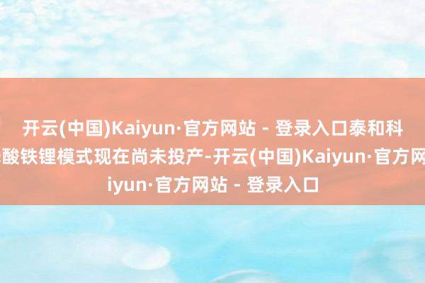 开云(中国)Kaiyun·官方网站 - 登录入口泰和科技1万吨/年磷酸铁锂模式现在尚未投产-开云(中国)Kaiyun·官方网站 - 登录入口